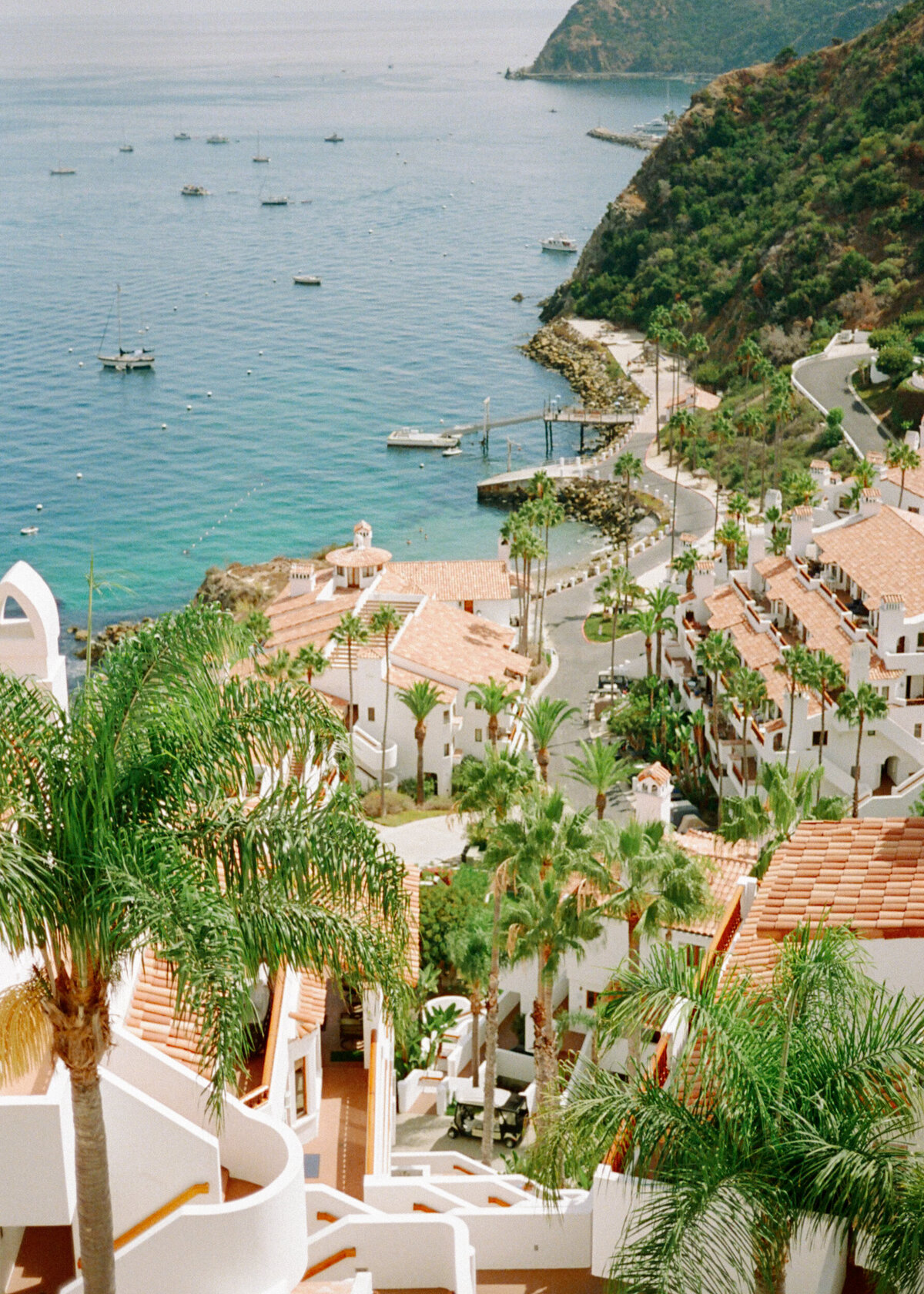 jarrodjphoto-catalina-island-wedding-33