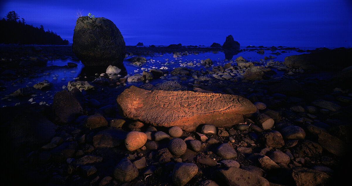 Orca Petroglyph