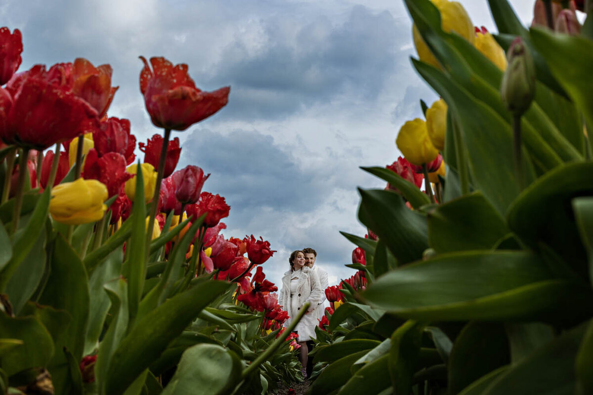 amsterdam-tulips-elopement-photographer