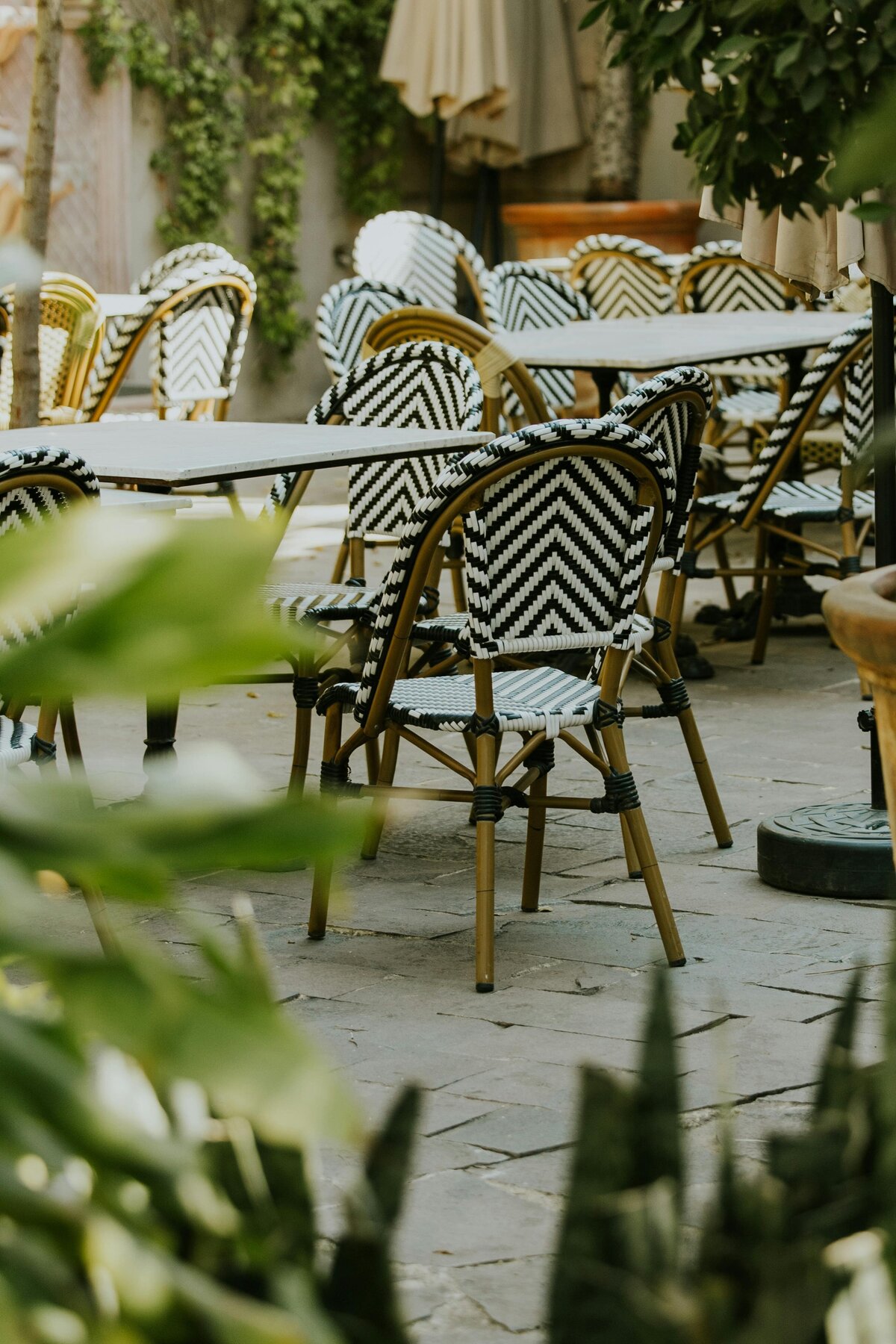 pexels-amar-30666579