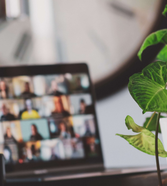 laptop and plant sitting next to each other on table