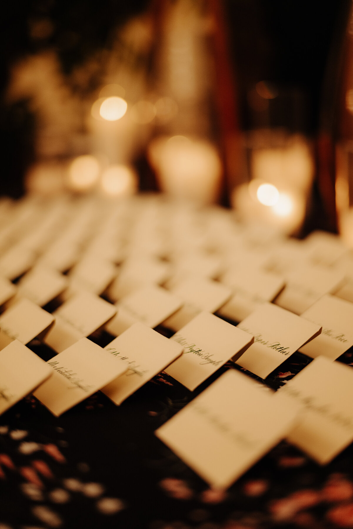 Eleanor_Elizabeth_010