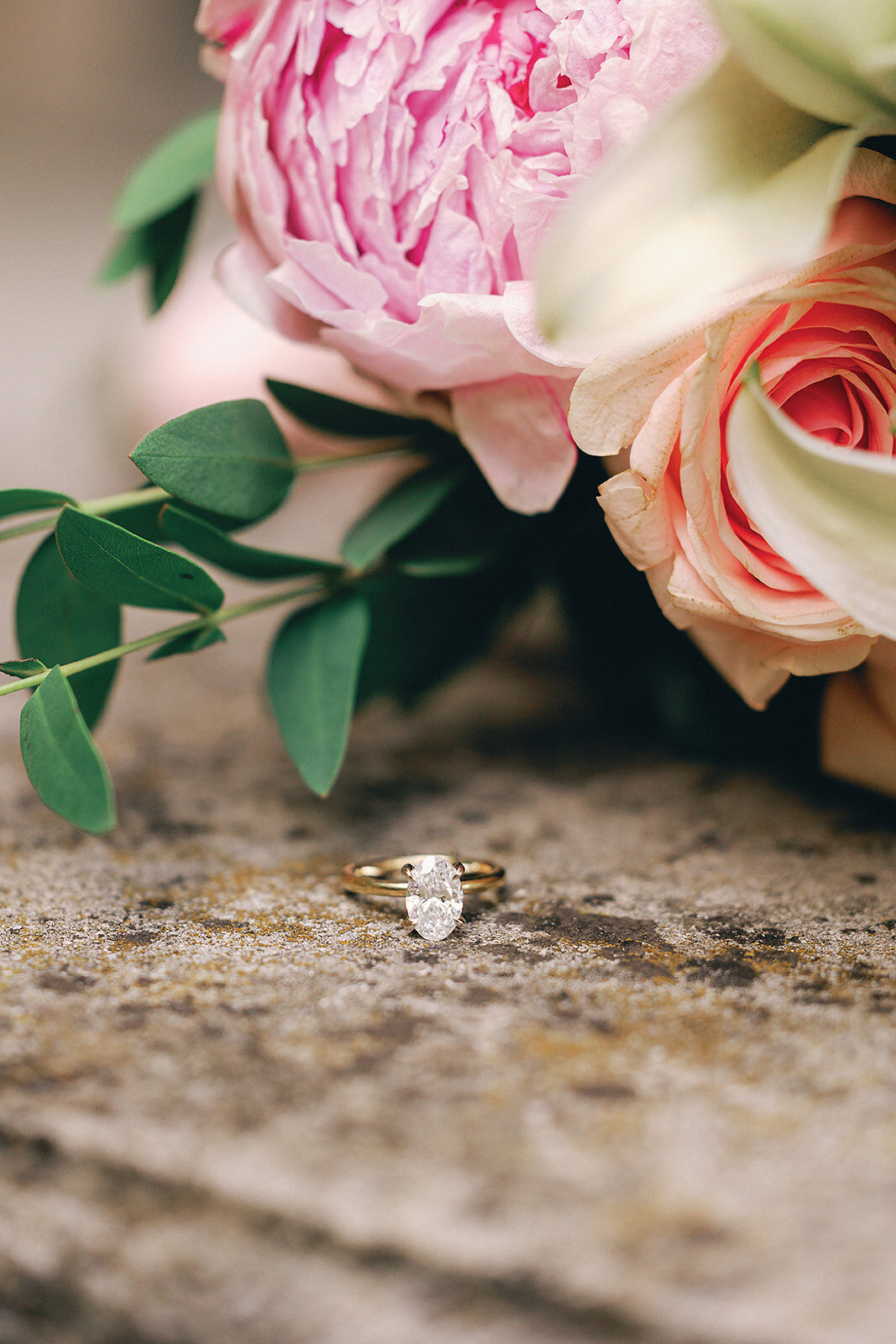 Grosse-Pointe-Engagement-Elise-Filliccia-Photography-150
