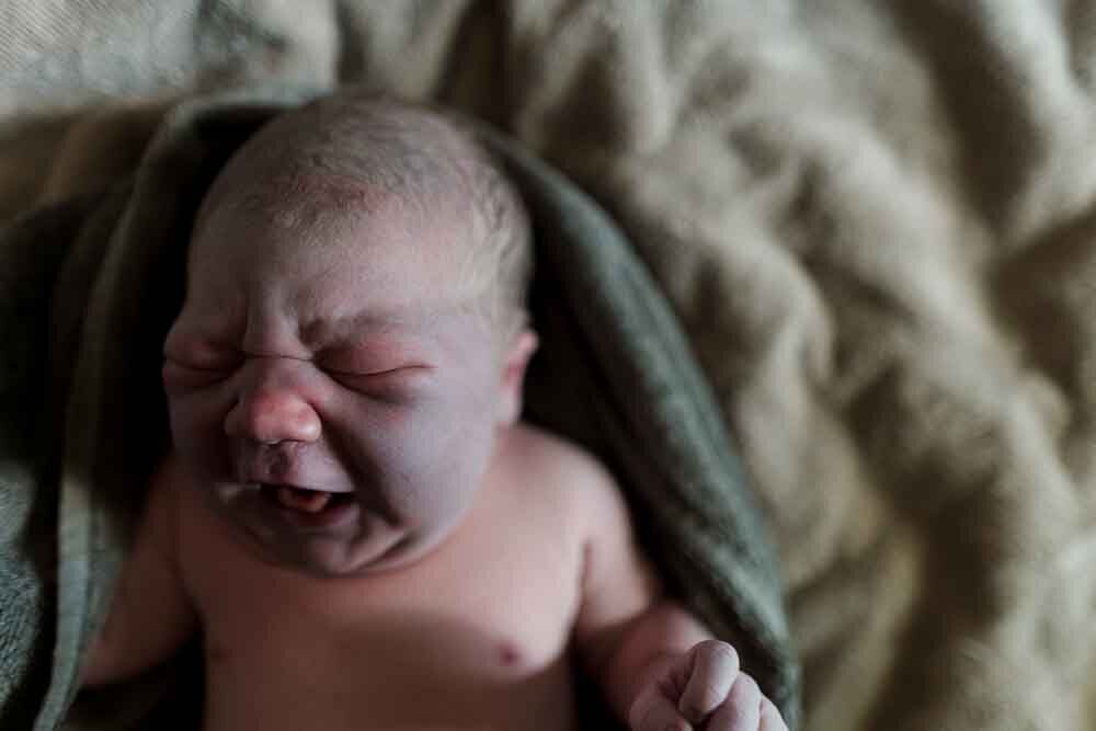 Elizabeth Priniski Madison Doula Birth Photographer - Oliver-21