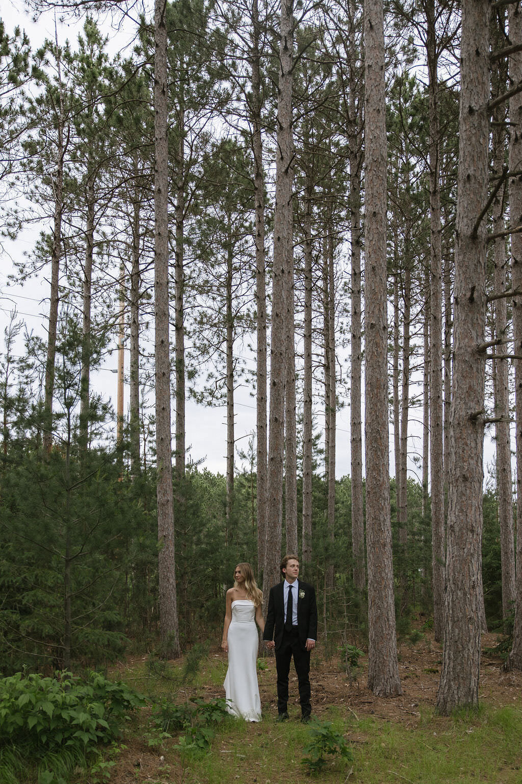 Pinewood Events - Minnesota Modern Nature Inspired Venue - summer Revel Woods Photo - 3