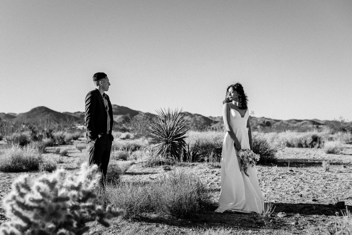 mkphotography_joshuatreeelopement_web-71