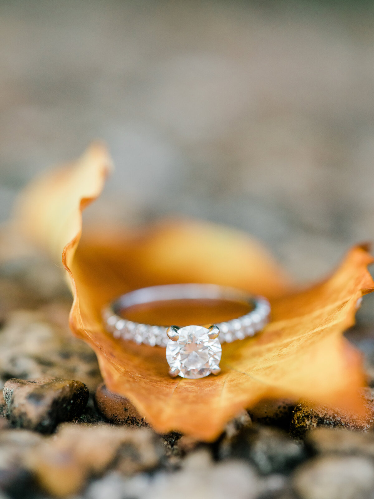 Alaina_Aleco_Meridien_Hill_Malcolm_X_Park_Washington_DC_Fall_Engagement_Session_AngelikaJohnsPhotography-3825