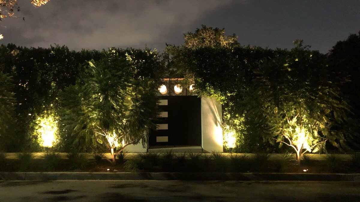 169 Night Lights Hedge