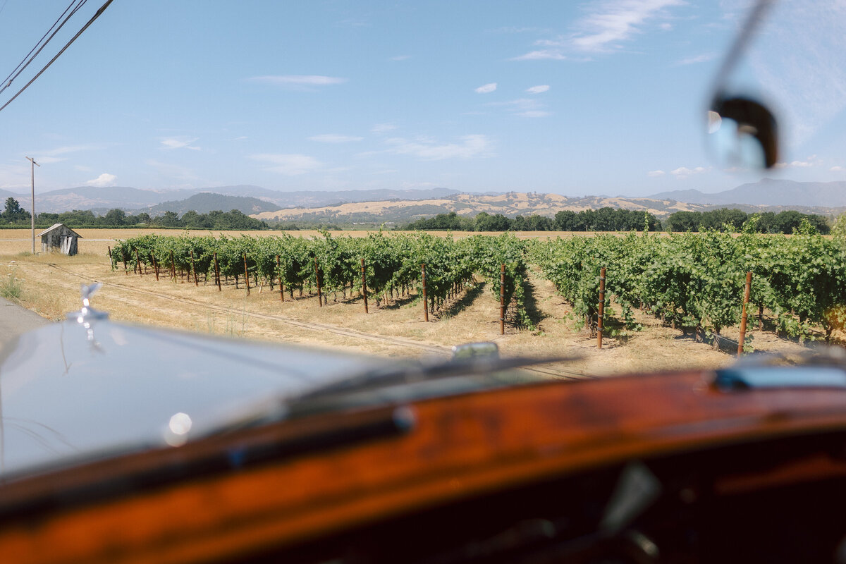 0592_gretchen_gause_photo_healdsburg_wedding_Arista_Winery_Little_Saint_2024-