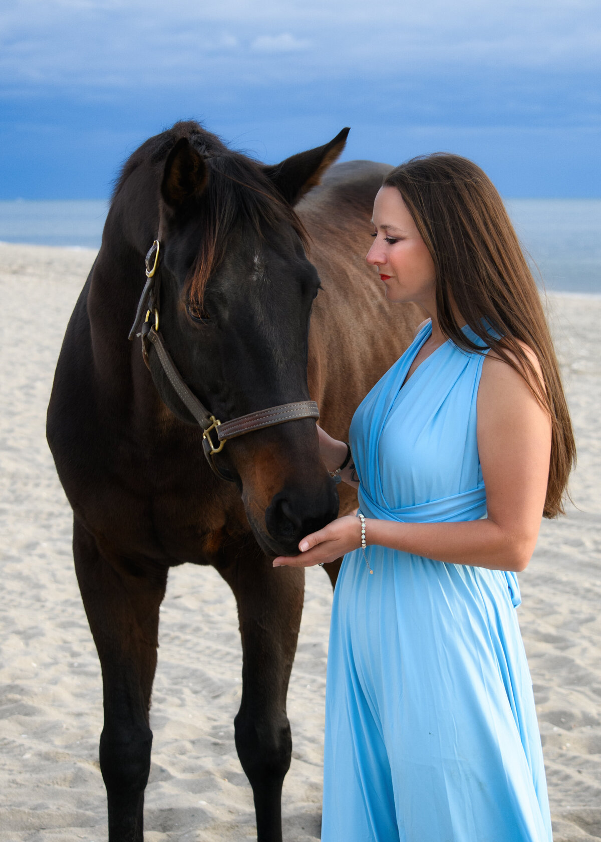 Equine-Portrait-Beach-Wallingford-CT-3