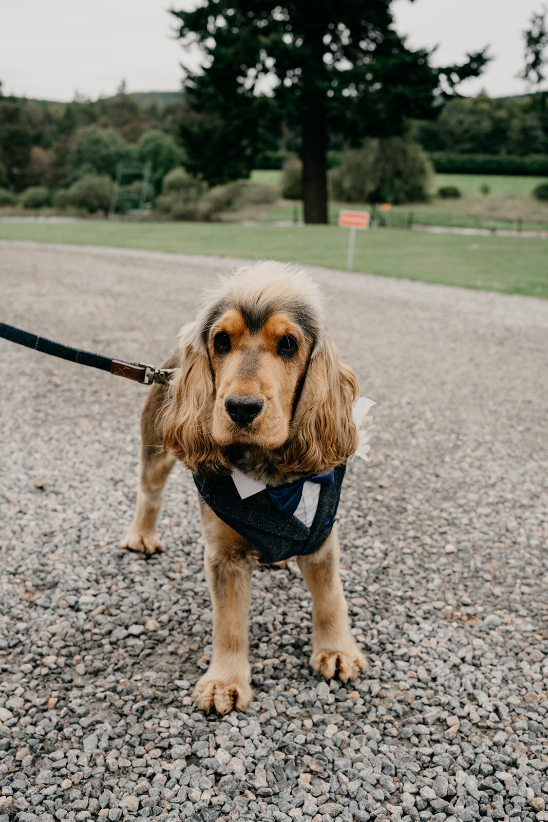 Banchory Lodge Wedding in Aberdeenshire by Aberdeen Wedding Photographer Scott Arlow48