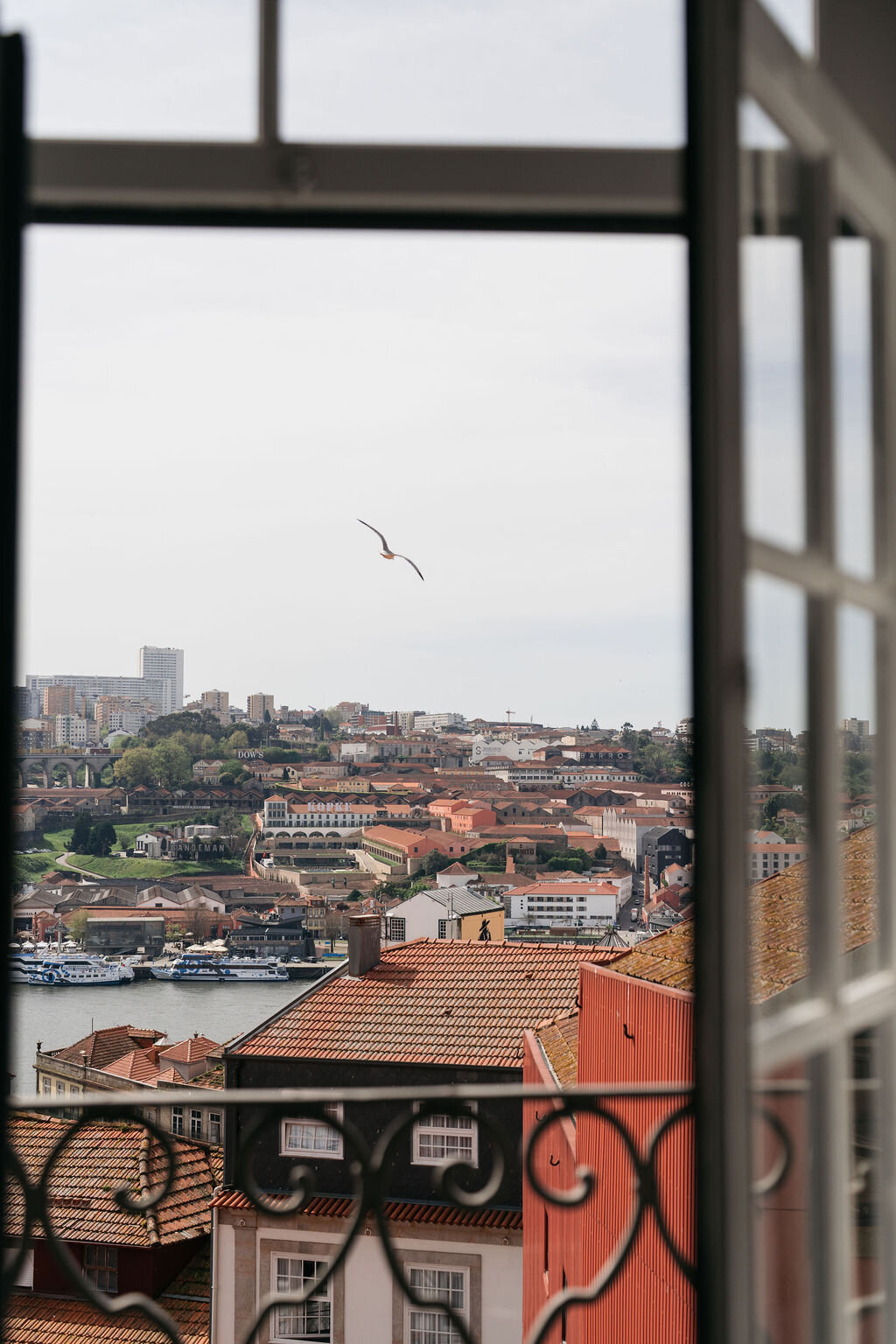 Illuminare-Porto-2025-172