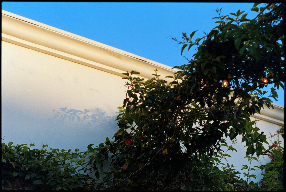 simpson-house-inn-wedding-santa-barbara-92