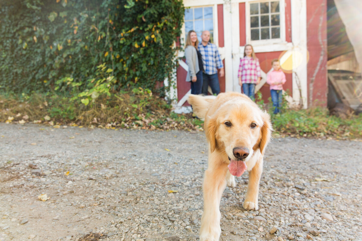 Bergen County Family Photographer0061