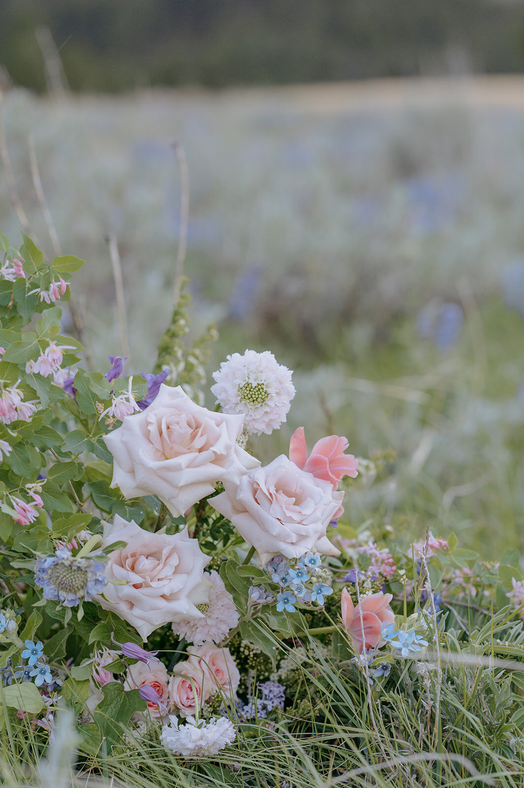 Carly-Patrick-Sheridan-Wyoming-Elopement-381