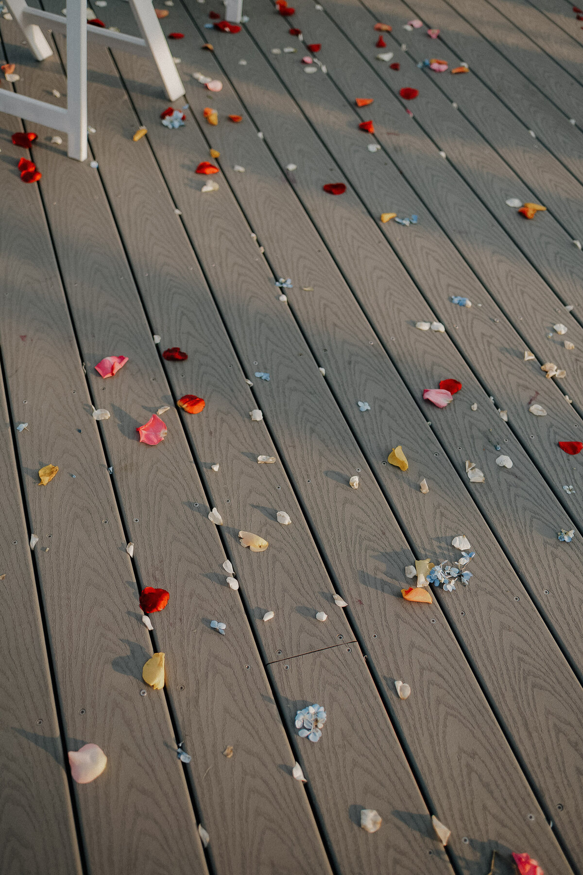 coastal-massachusetts-wedding-photography-29