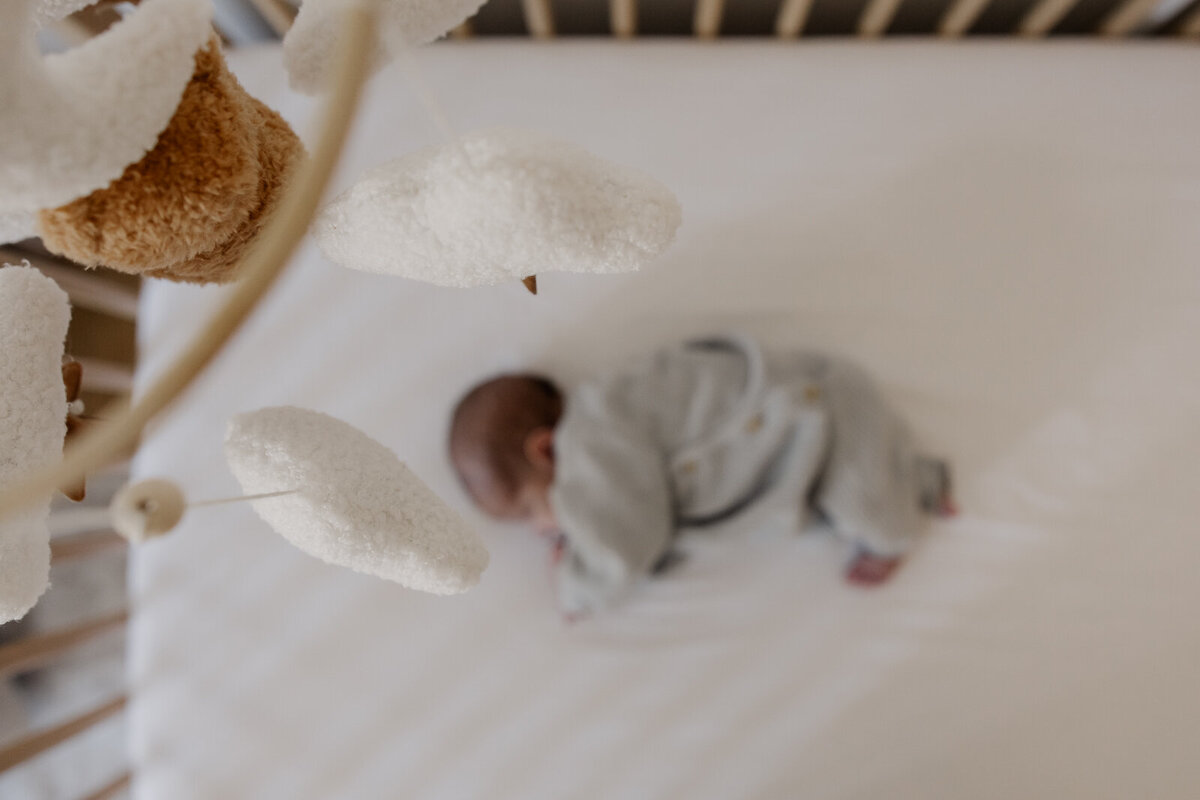 Newborn Photoshoot NJ