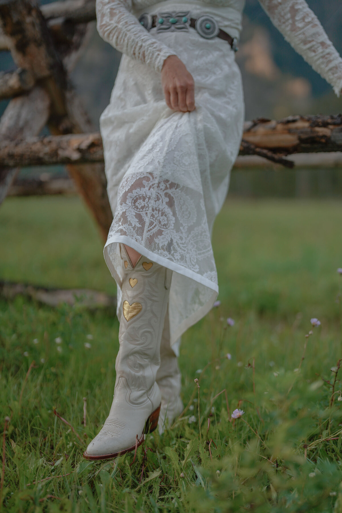 DSC07139 (1)