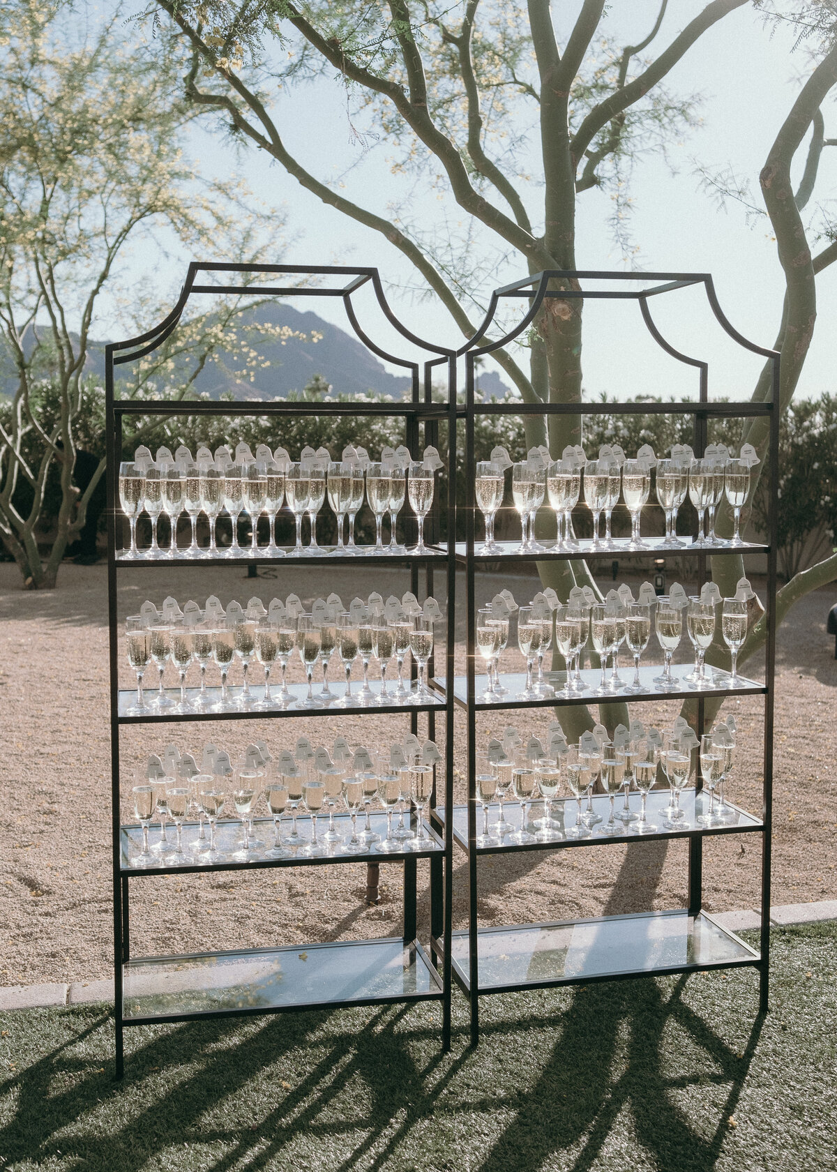 Arizona-Andaz-Resort-Scottsdale-Wedding-Photos-Annette-Ambrose-Photography-1024