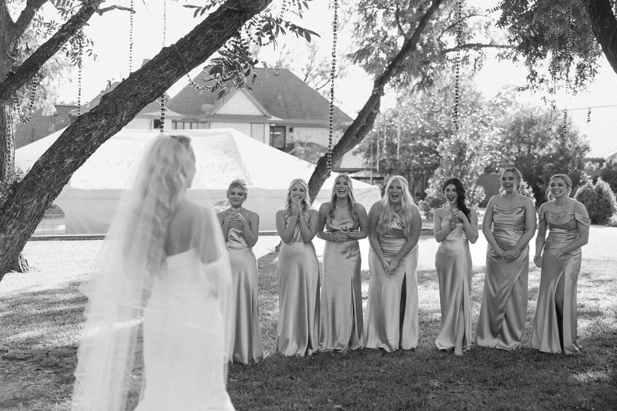 Dress Reveal with Bridesmaids-17