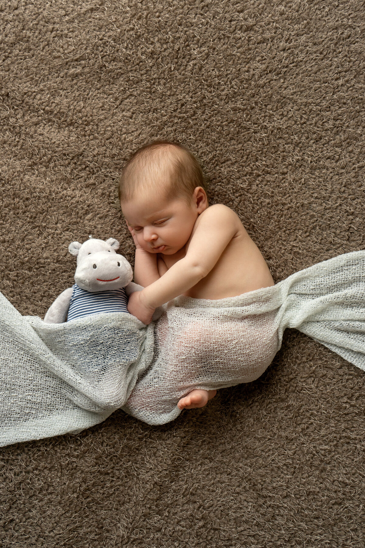 newborn-baby-with-hippo