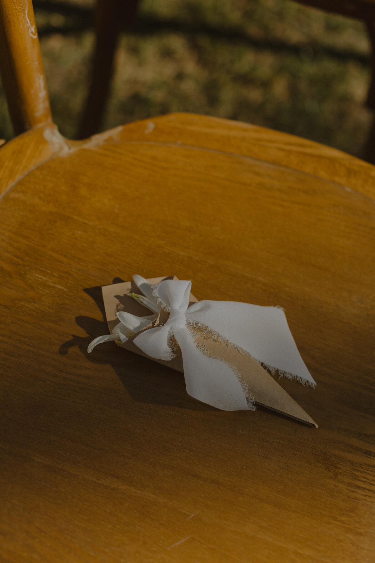 cottage-at-riverbend-spring-wedding-ally-will-ceremony-32