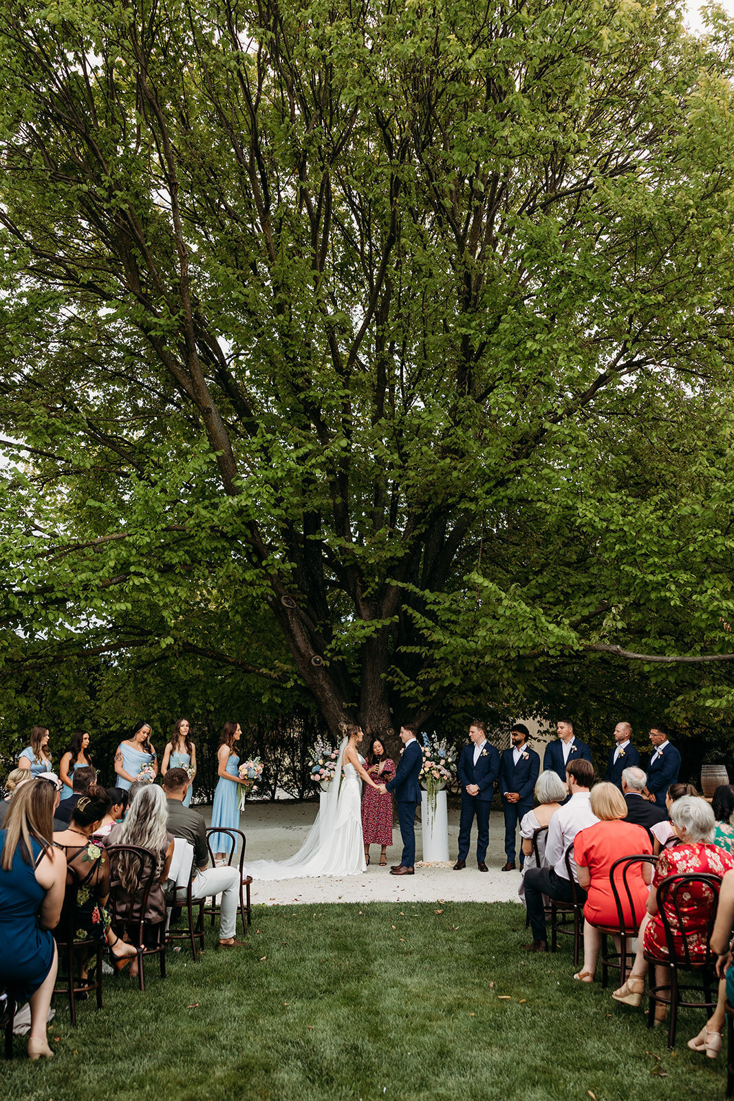 Wedding ceremony under the Elm tree at Poachers Pantry near Canberra ACT. Photo by Acacia & Grace Photography, a Canberra Wedding Photographer.
