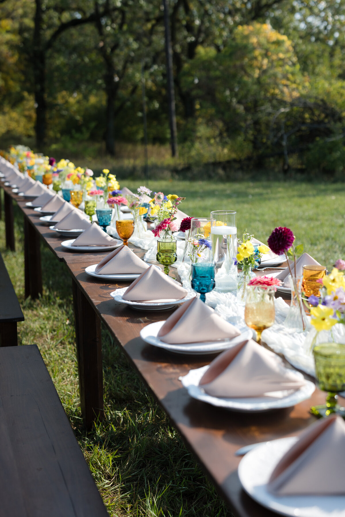 Backyard-Wedding-Rogers-MN-B&S-Will-DeGraw-Clever-Disarray-39