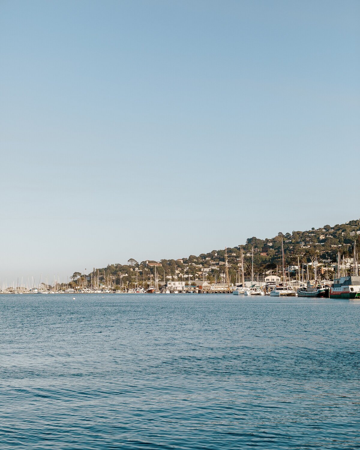 2022.05.21 Bryn and Ariel Wedding_Sausalito_Bethany Picone Photography_02 Details-95