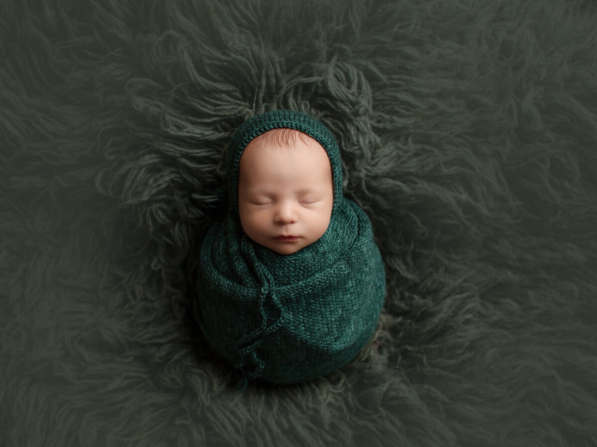 posed newborn photos denver