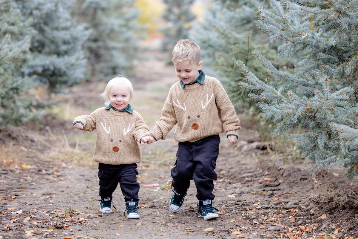Utah-County-UT-Christmas-Tree-Farm-Mini-Session-Magnolia-and-Grace-Photography-Co-AshbyilyinJ-# (1)-15