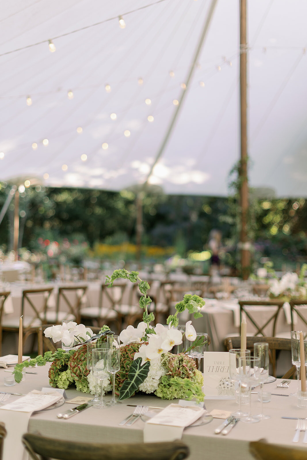 hilaryandbrewster_weddingphotos-402