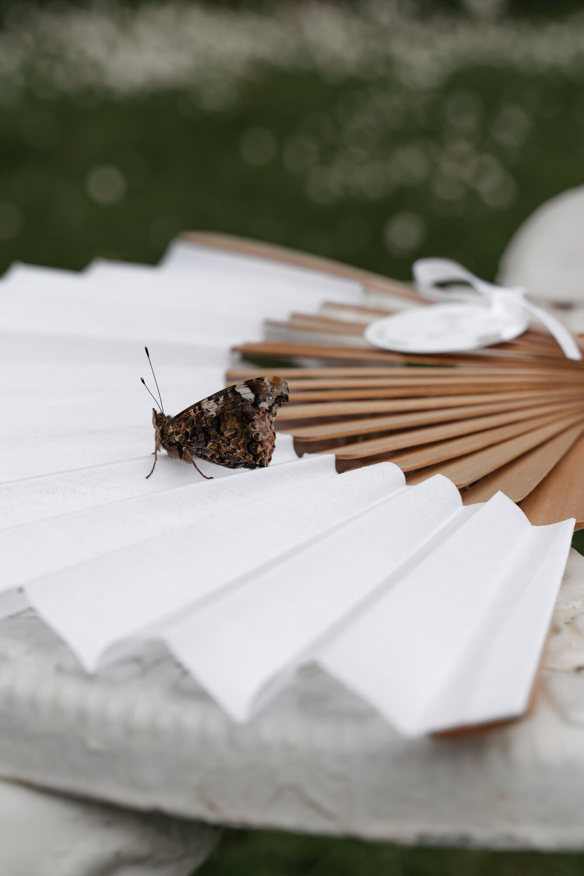 Wedding-Garden-Party-in-Normandy-Lea-Evrevin-Photographer-72