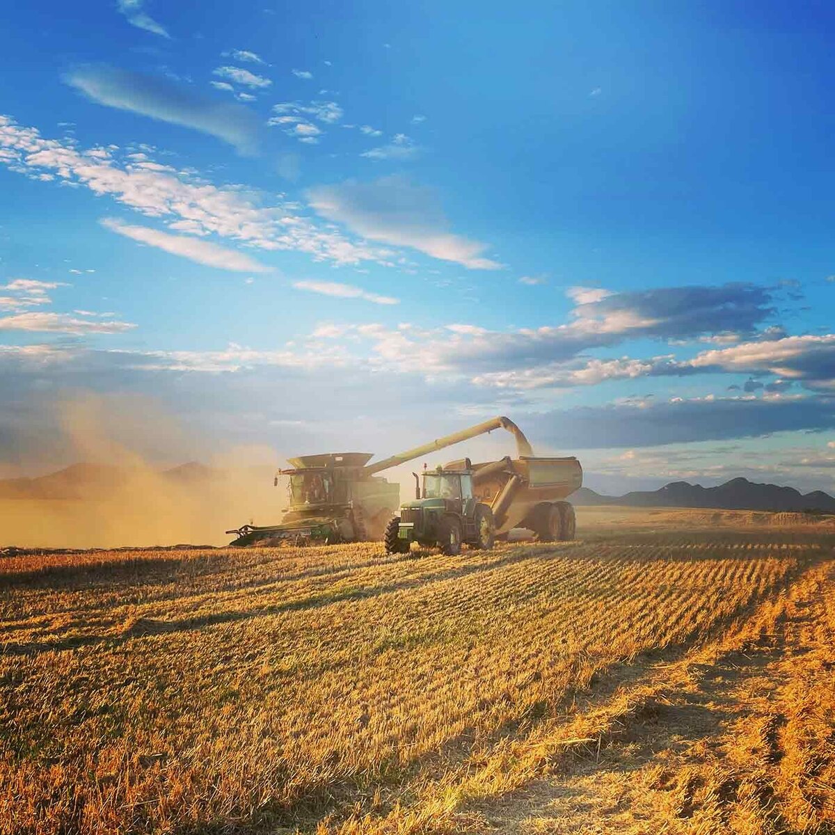 Farming Environmental Practice