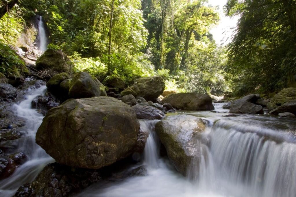 river1-1024x682