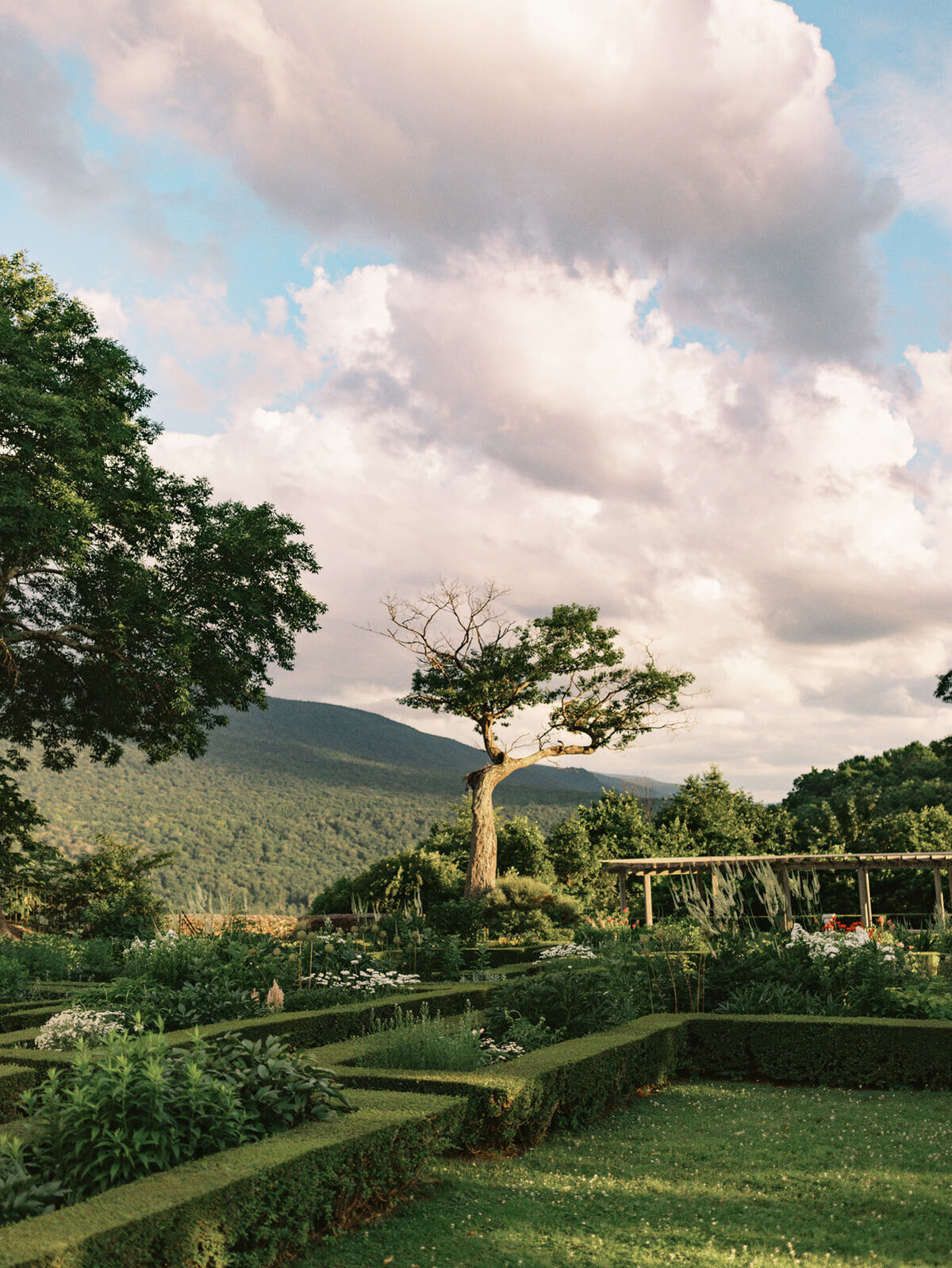 Hildene-Wedding-WillReidPhoto-129