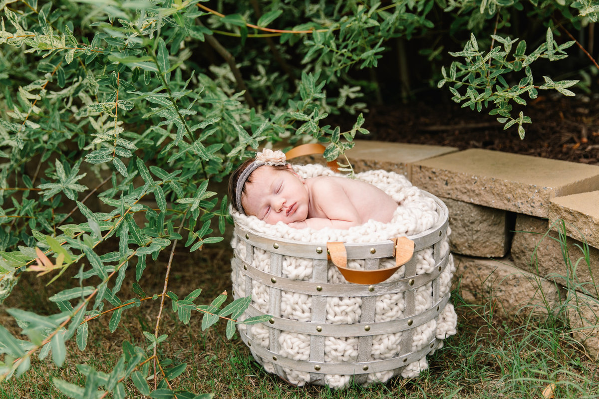 raleigh newborn photographer-lena-9048