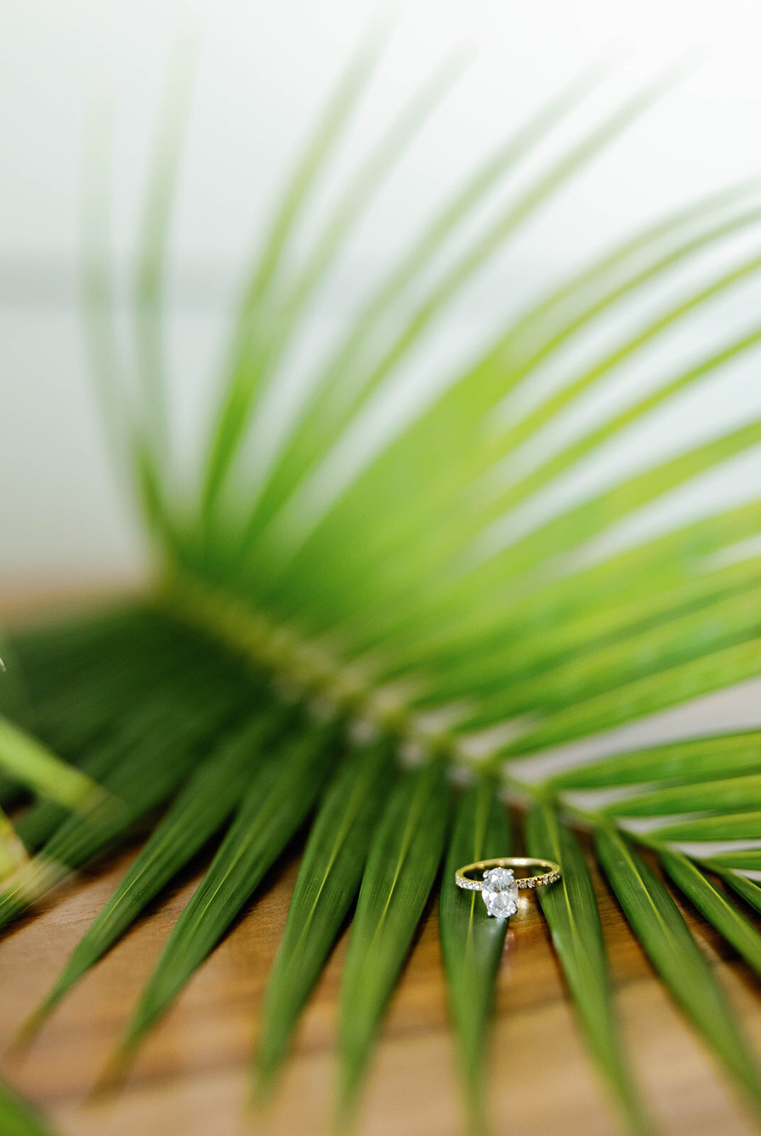 Miami-Wedding-Photographer-Claudia-Amalia-Antonia-James-2