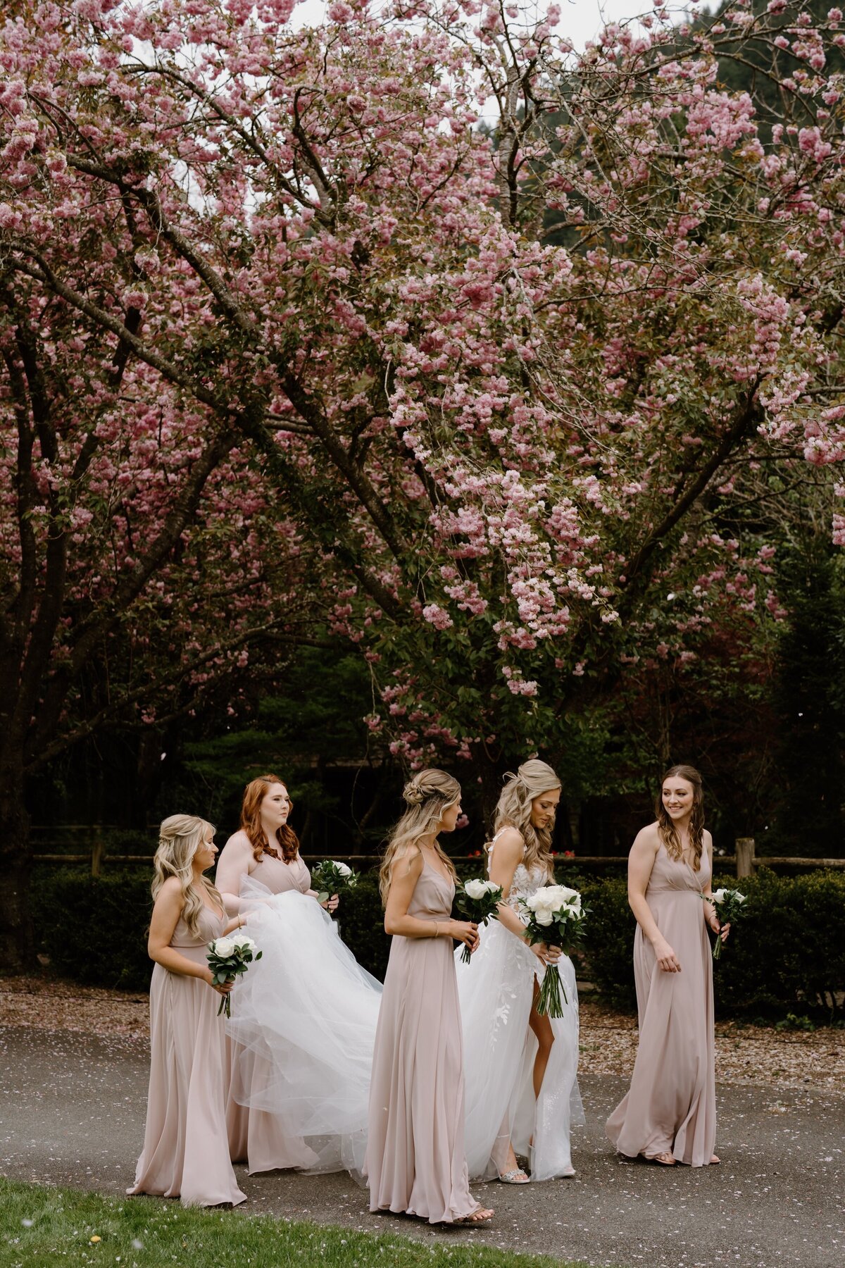 Fox-Hollow-Farm-Wedding