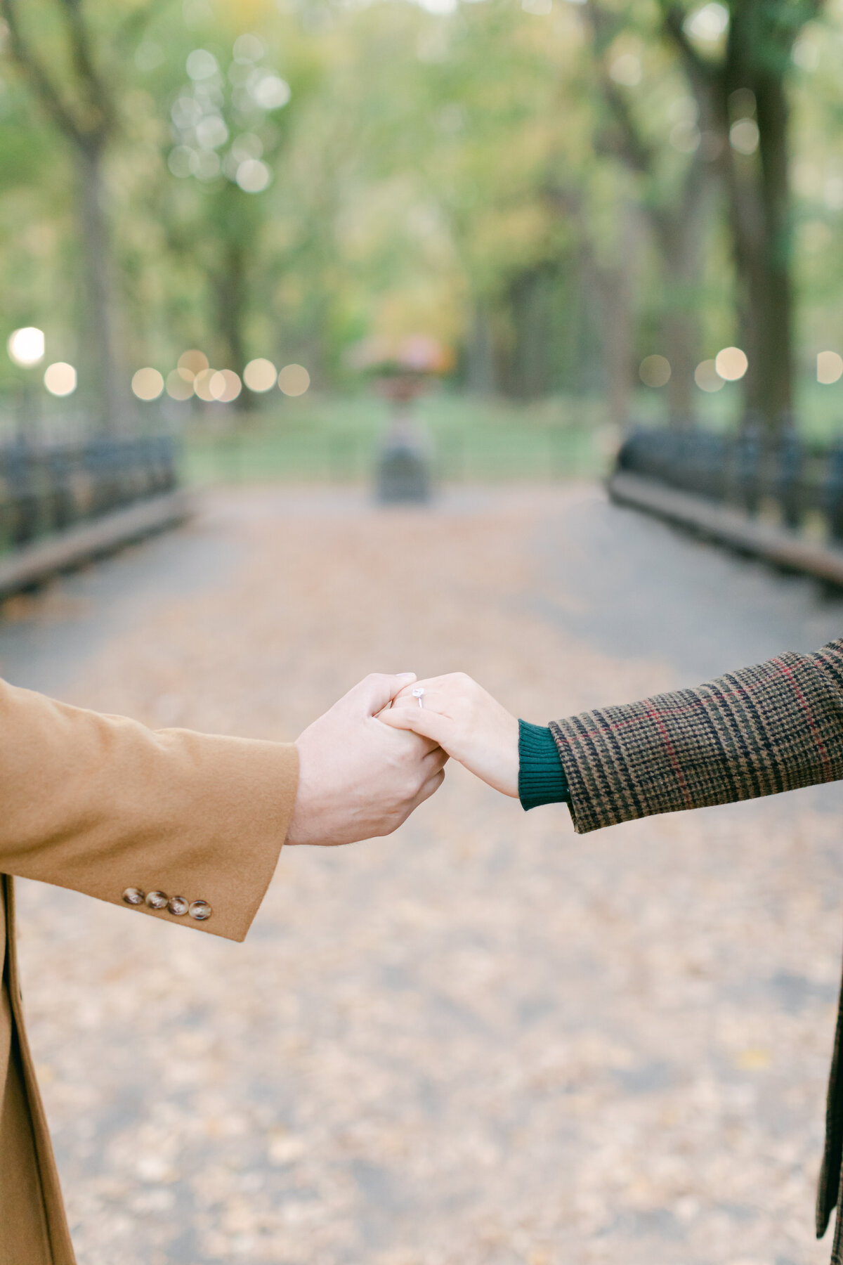 Central Park Engagement Session-53