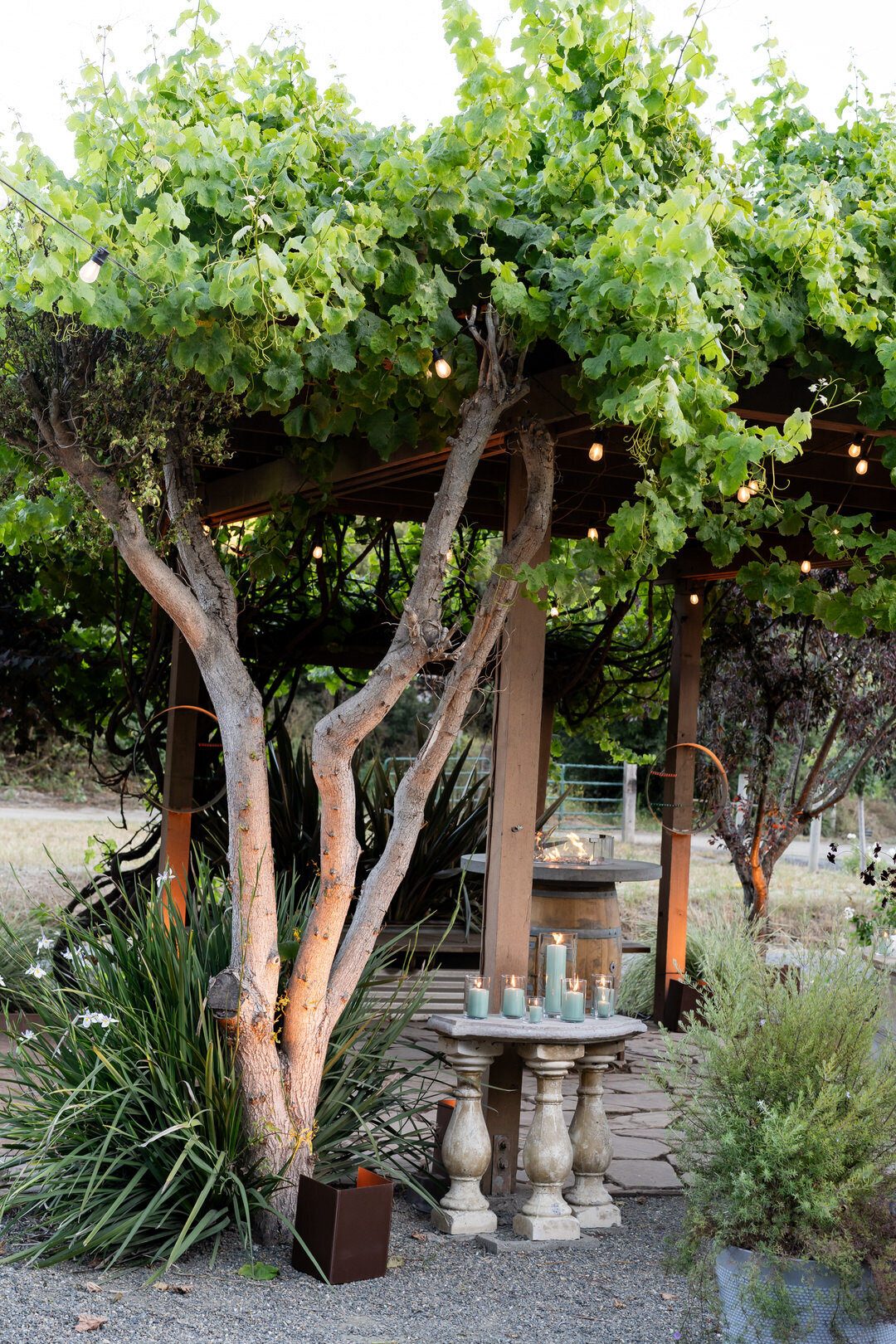 1 RD California Wedding at Ritz Carlton Half Moon Bay by GoBella.com 53