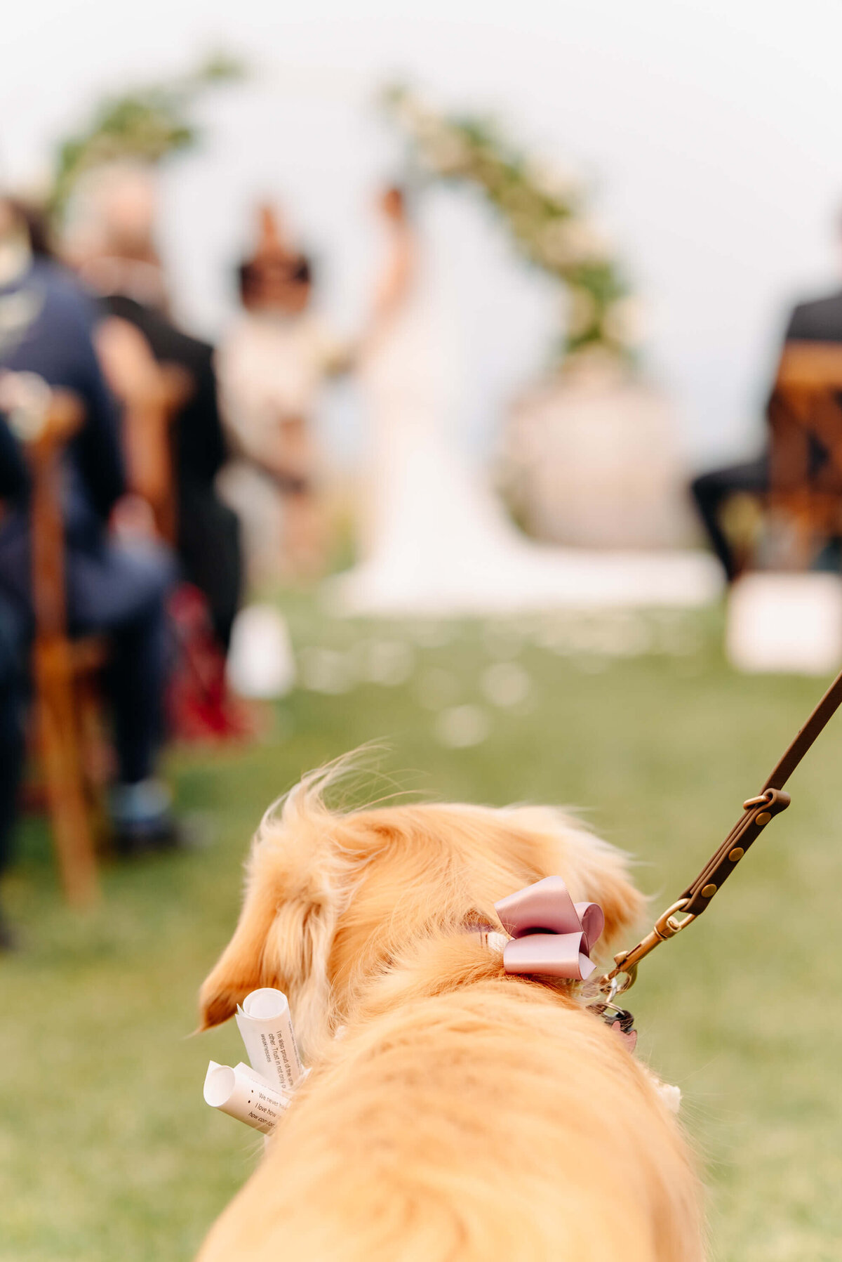 Kelowna-wedding-photographer (83)