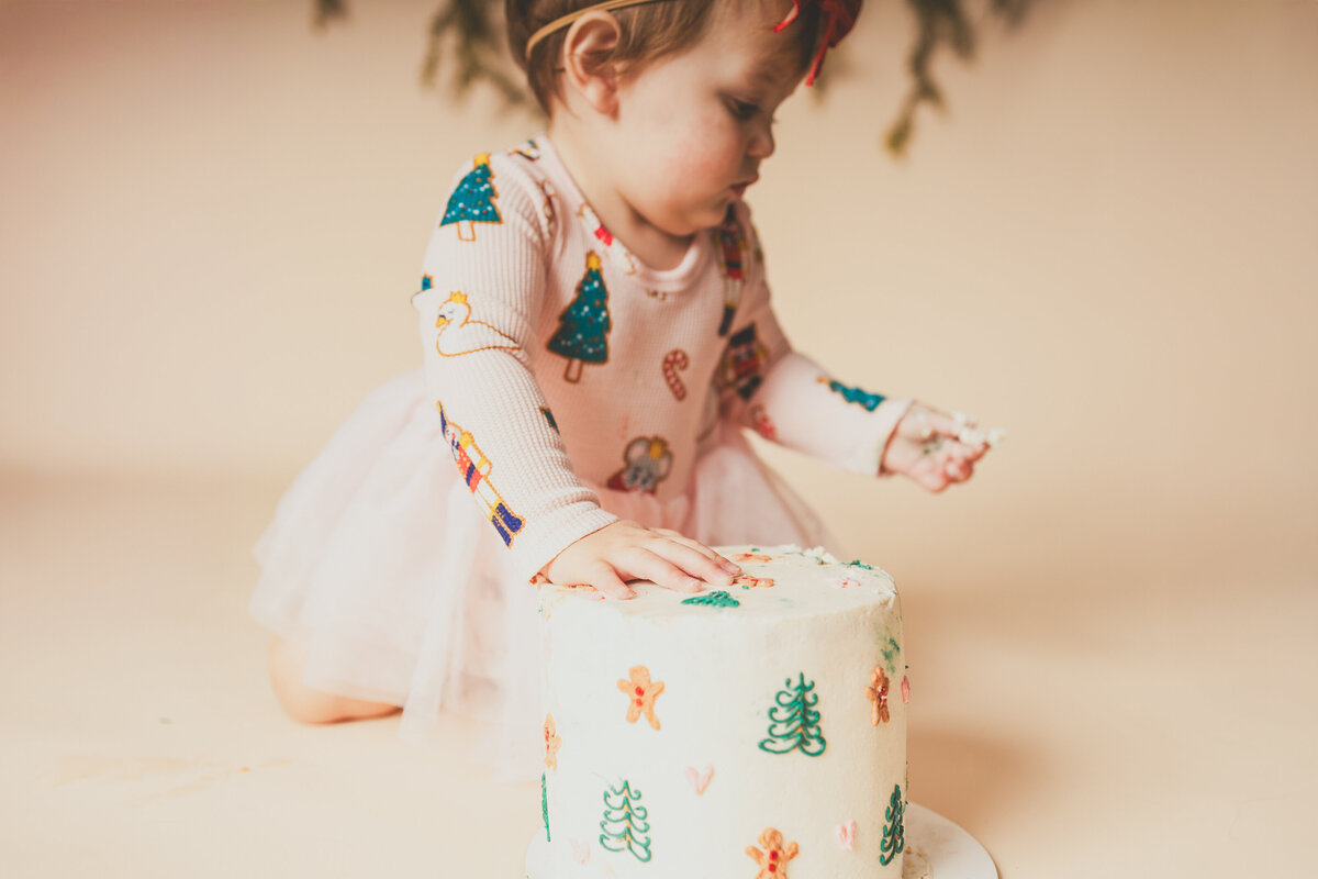cakesmashphotos