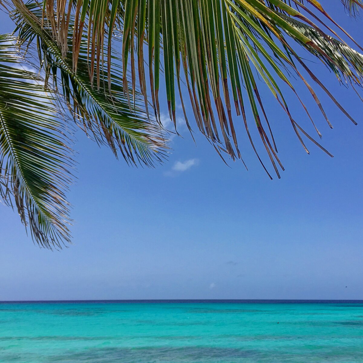 barbados-3