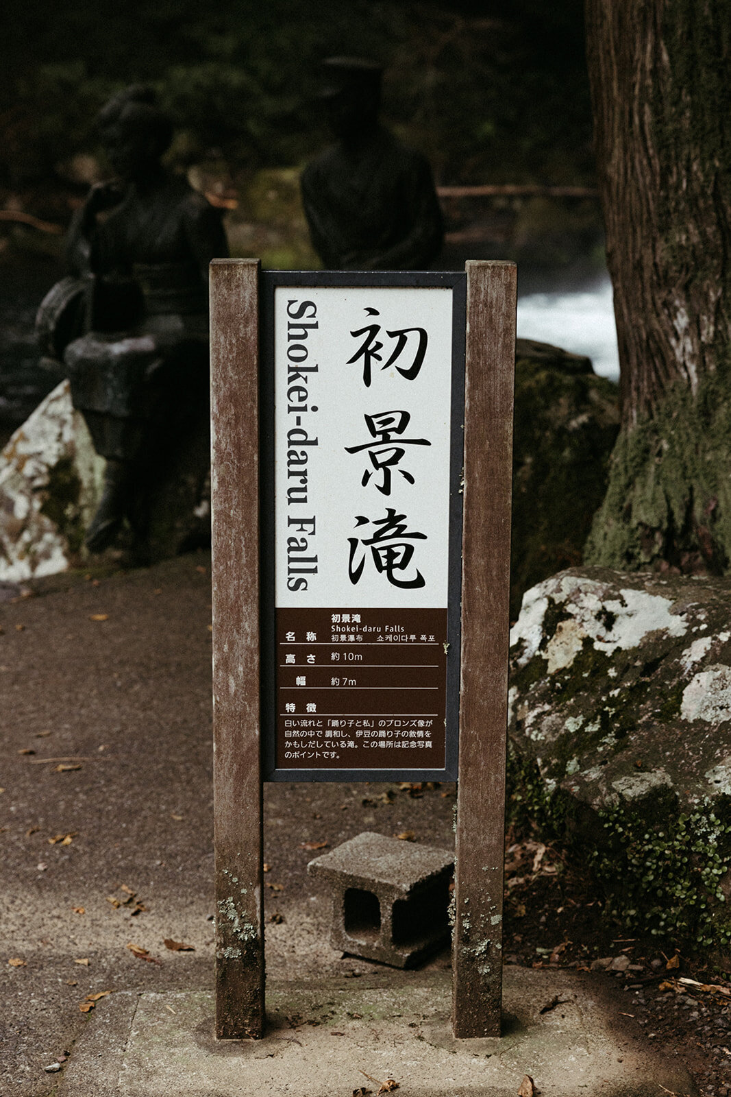 JapanElopement-DallinHazard-390