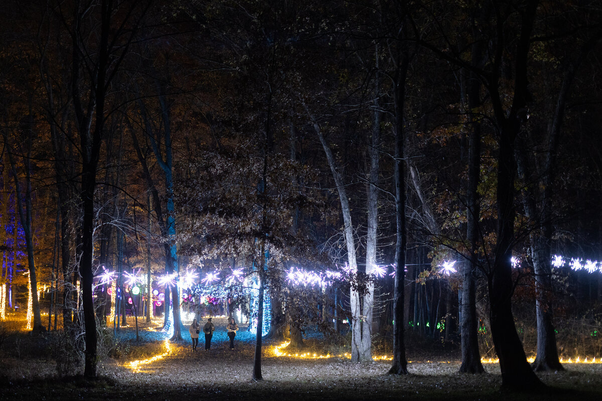 veritas illuminated nov2023 JackLooney-0141