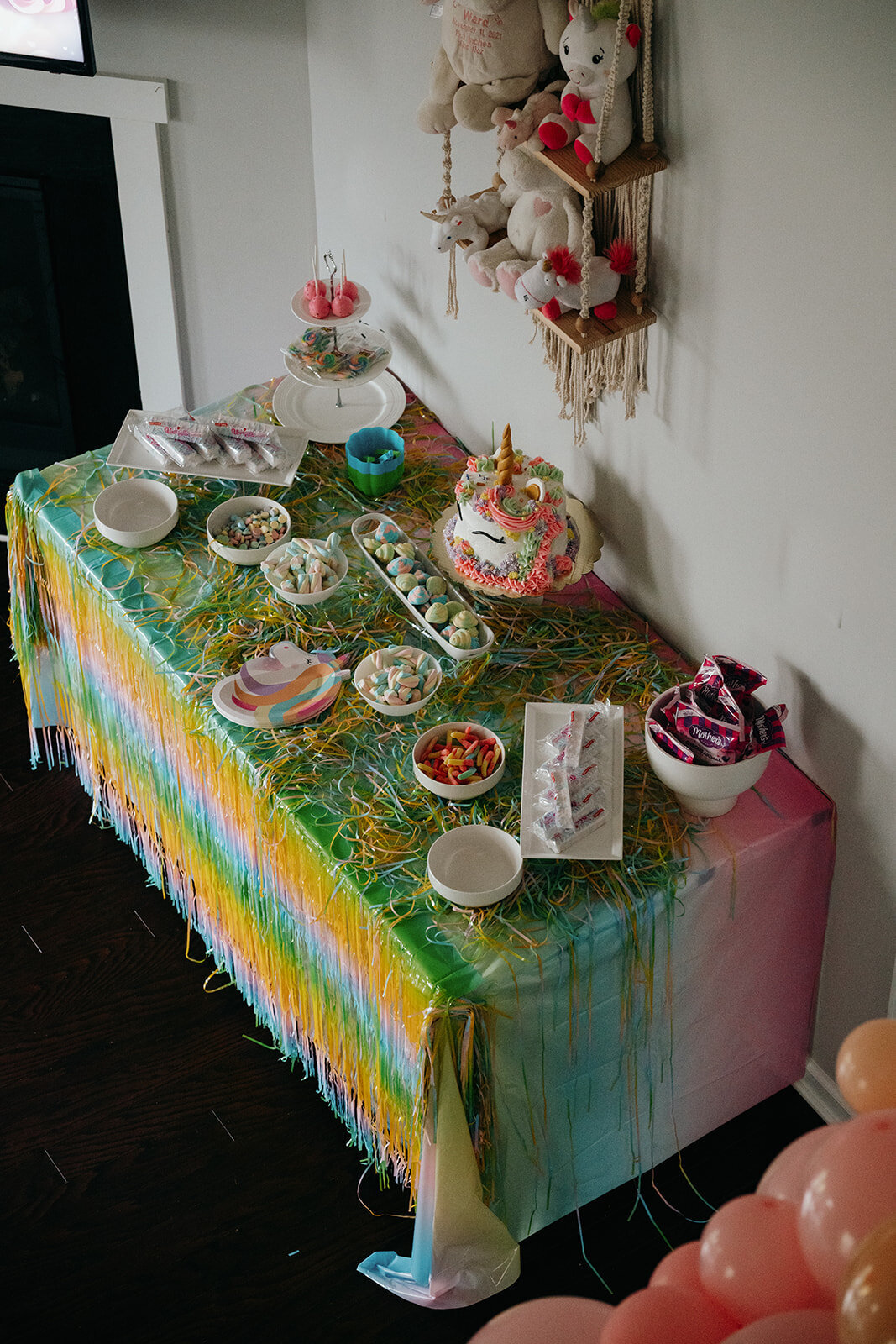 kids-birthday-party-planner-asheville-31