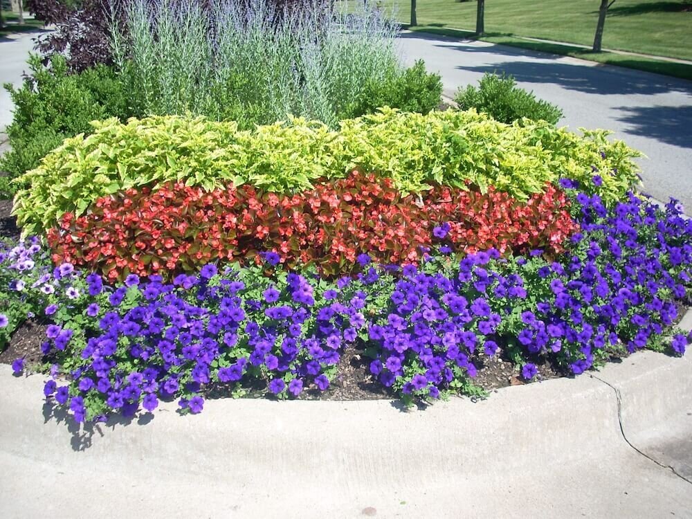 Commercial landscape company project in Kansas City: seasonal flowers showcase