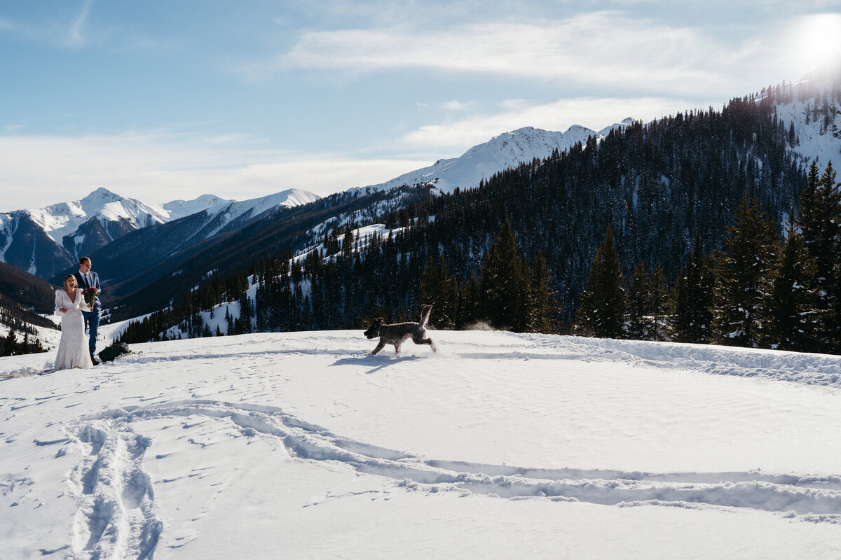 Sam-Murch-Photography-Ouray-Winter-Elopement-with-dog-52