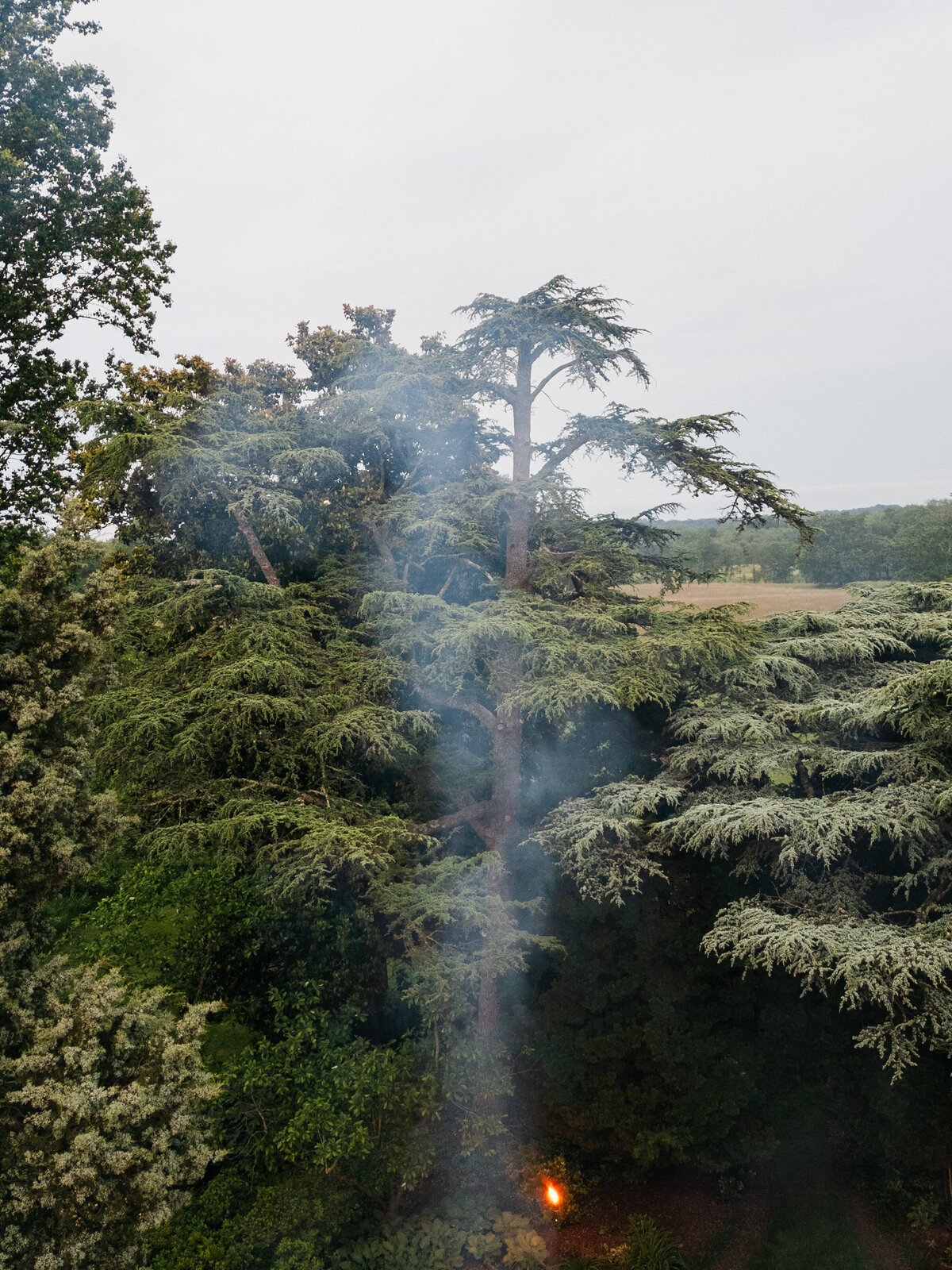 2025_05_29_glenstone_0637